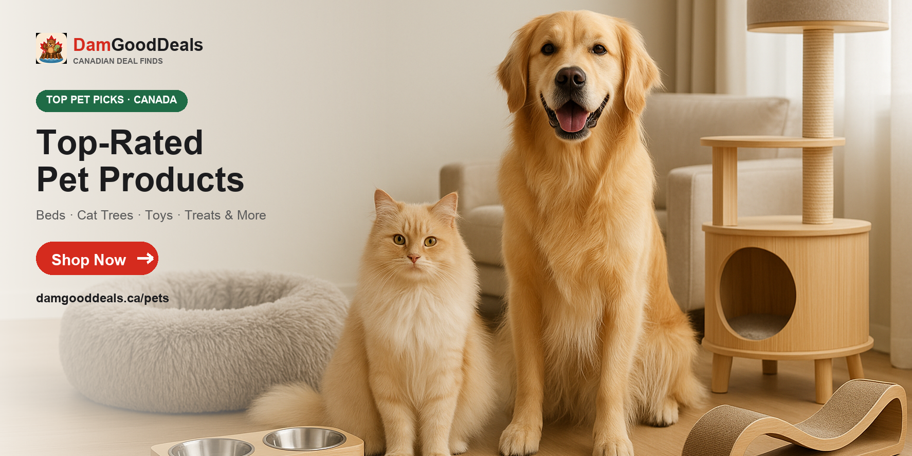 Top-Rated Pet Products on Amazon Canada — toys, treats, beds & more